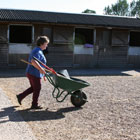 Hard at work at Ridgeway Livery Centre
