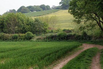 Part of the Farm Ride at Ridgeway Livery Centre