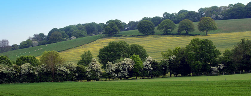 The scenery at Ridgeway Livery Centre